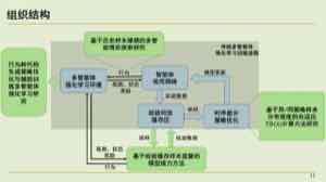 课件用观测、状态、奖励和模型更新画出传统多智能体强化学习训练循环。